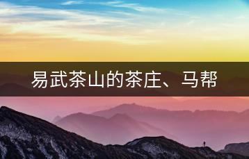 易武茶山的茶莊、馬幫