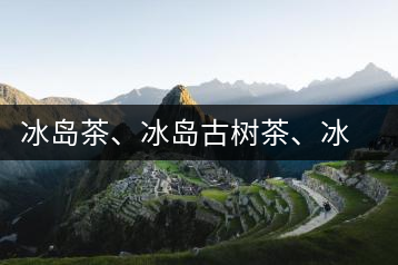 冰島茶、冰島古樹(shù)茶、冰島茶區(qū)茶、冰島茶區(qū)古樹(shù)茶