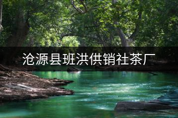 滄源縣班洪供銷社茶廠