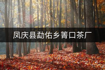 鳳慶縣勐佑鄉(xiāng)箐口茶廠(chǎng)