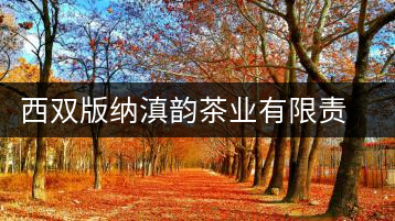 西雙版納滇韻茶業(yè)有限責任公司