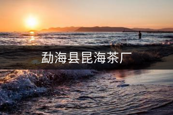 勐?？h昆海茶廠