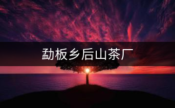 勐板鄉(xiāng)后山茶廠