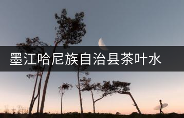 墨江哈尼族自治縣茶葉水果技術推廣站