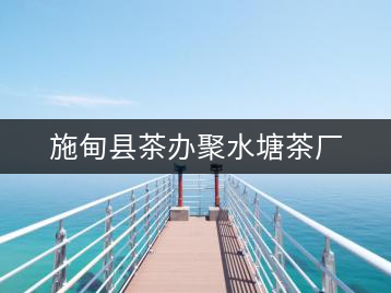 施甸縣茶辦聚水塘茶廠