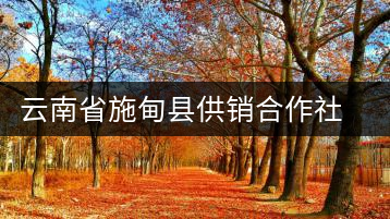 云南省施甸縣供銷合作社萬(wàn)興茶廠