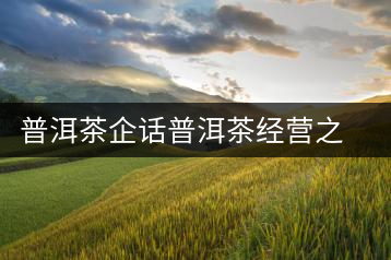 普洱茶企話(huà)普洱茶經(jīng)營(yíng)之道