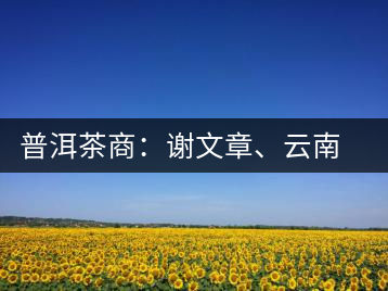普洱茶商：謝文章、云南谷申商貿(mào)有限公司總經(jīng)理