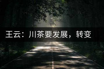 王云：川茶要發(fā)展，轉(zhuǎn)變思想是關(guān)鍵