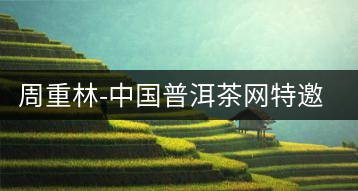 周重林-中國(guó)普洱茶網(wǎng)特邀行業(yè)專家顧問