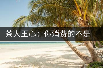茶人王心：你消費的不是茶，是我