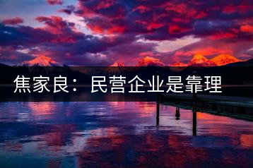 焦家良:民營(yíng)企業(yè)是靠理想信念而活著