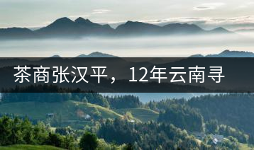 茶商張漢平，12年云南尋茶路