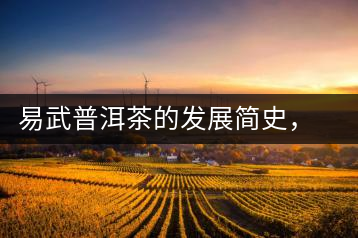 易武普洱茶的發(fā)展簡(jiǎn)史，昔日的貢茶如今依然輝煌