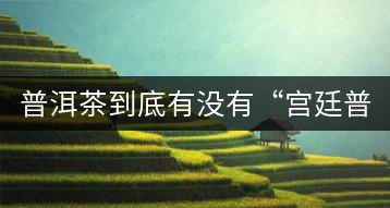 普洱茶到底有沒(méi)有“宮廷普洱”一說(shuō)？它到底是什么？