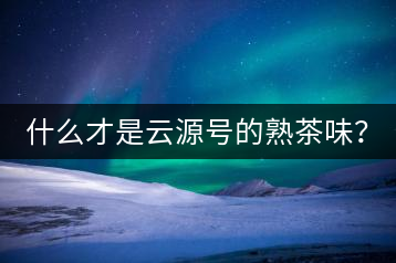 什么才是云源號的熟茶味？