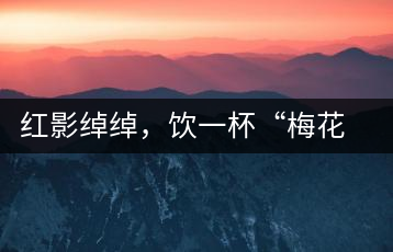 紅影綽綽，飲一杯“梅花”醉