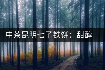 中茶昆明七子鐵餅：甜醇甘潤(rùn)，陳韻綿長(zhǎng)