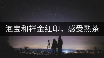 泡寶和祥金紅印，感受熟茶之美。