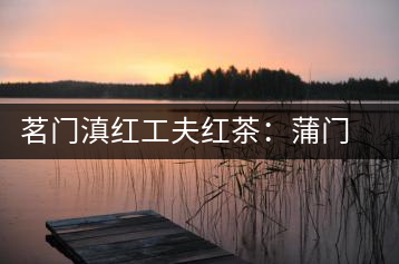 茗門滇紅工夫紅茶：蒲門佳茗，伴您度秋