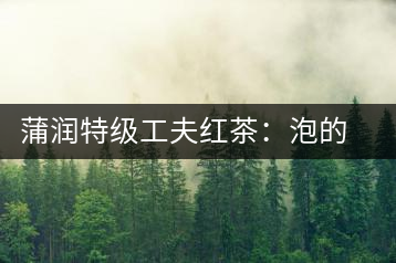 蒲潤(rùn)特級(jí)工夫紅茶：泡的方便，喝的舒適