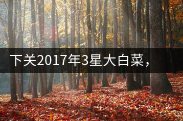 下關(guān)2017年3星大白菜，好茶從未中斷