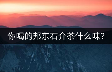 你喝的邦東石介茶什么味?