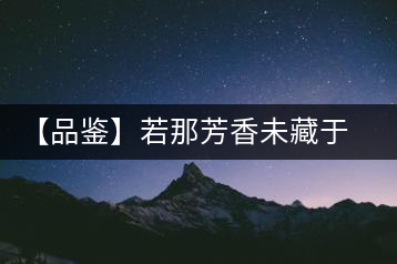 【品鑒】若那芳香未藏于樟野，怎會這般獨具韻味？