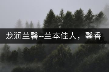 龍潤蘭馨–蘭本佳人，馨香高雅
