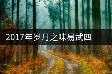 2017年歲月之味易武四大“有機認(rèn)證基地”產(chǎn)品正式上市