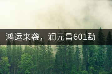 鴻運來襲，潤元昌601勐海紅韻熟茶即將上市