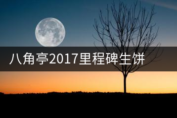 八角亭2017里程碑生餅，擁抱半個(gè)世紀(jì)的情懷