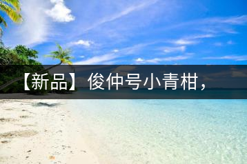【新品】俊仲號(hào)小青柑，青果來(lái)傾城