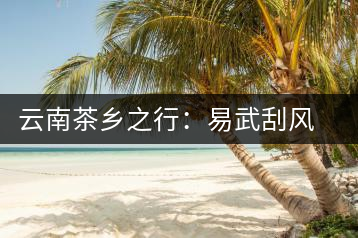 云南茶鄉(xiāng)之行:易武刮風(fēng)寨