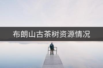 布朗山古茶樹(shù)資源情況