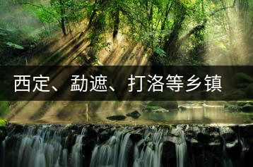 西定、勐遮、打洛等鄉(xiāng)鎮(zhèn)古茶樹(shù)資源