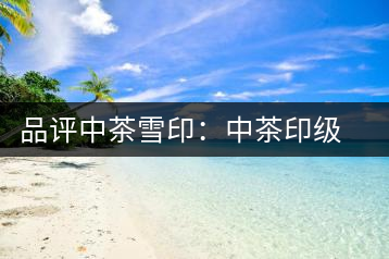 品評(píng)中茶雪印：中茶印級(jí)茶的經(jīng)典傳承