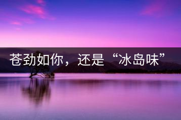 蒼勁如你，還是“冰島味”嗎？