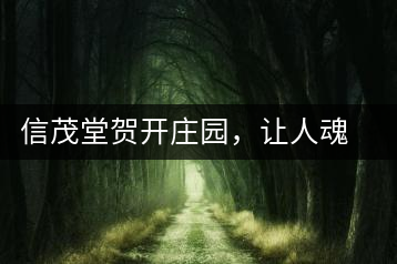 信茂堂賀開(kāi)莊園，讓人魂?duì)繅?mèng)繞的名山古樹(shù)茶