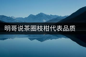 明哥說茶圈枝柑代表品質(zhì)高點(diǎn)，是玩家級(jí)的產(chǎn)品