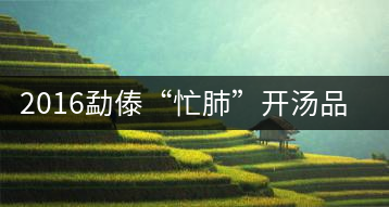 2016勐傣“忙肺”開(kāi)湯品鑒