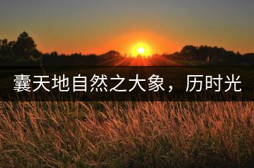 囊天地自然之大象，歷時光十載流轉(zhuǎn)-皇茶一號