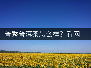 普秀普洱茶怎么樣？看網(wǎng)友精彩回答
