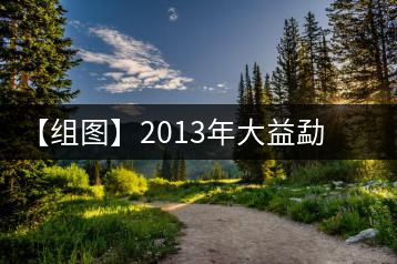 【組圖】2013年大益勐海之星開(kāi)湯