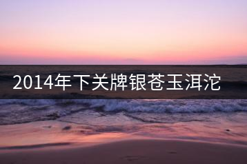 2014年下關牌銀蒼玉洱沱茶品評