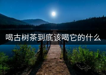 喝古樹茶到底該喝它的什么？