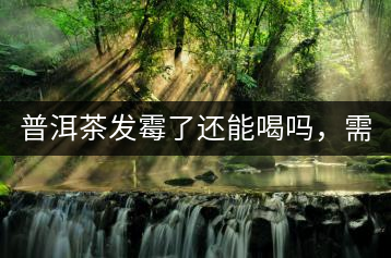 普洱茶發(fā)霉了還能喝嗎，需要怎么處理？