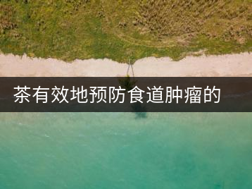 茶有效地預防食道腫瘤的發(fā)生