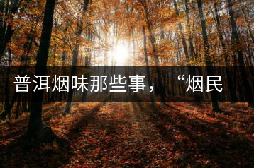普洱煙味那些事，“煙民”不怕當(dāng)