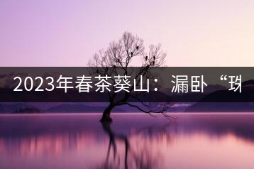 2023年春茶葵山：漏臥“珠江紅：1200元-3200元（有3個檔次）漏臥“大廠茶”：古樹單株8600-9000元／公斤，中樹4800-5200元／公斤，小樹混采2600-2800元／公斤。